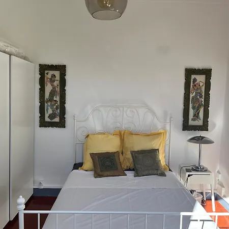 فيلة Anna أنتيب